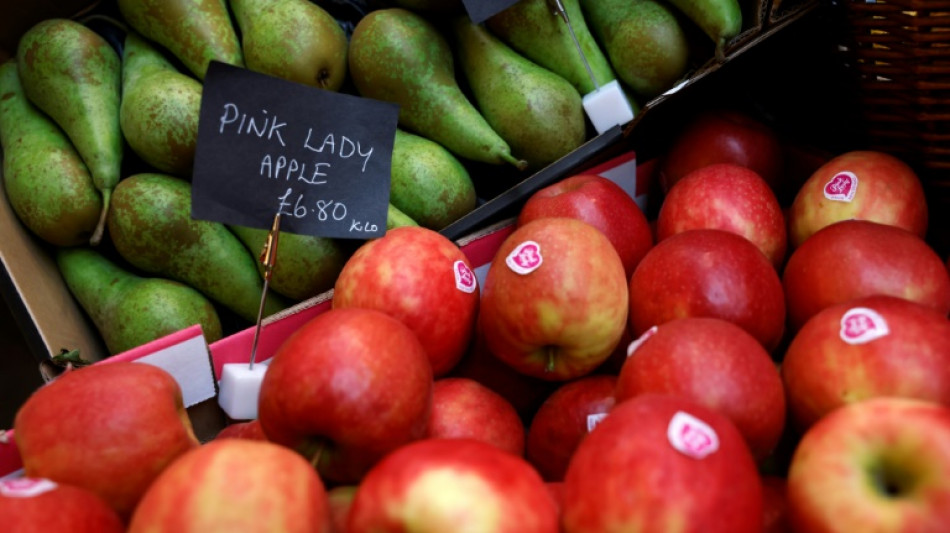 Los precios de los alimentos batieron r&eacute;cords en 2022 por la guerra en Ucrania