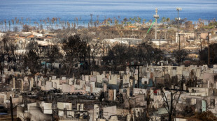 Hawái aprueba un aumento de impuestos hoteleros para una 'tarifa verde' contra el cambio climático