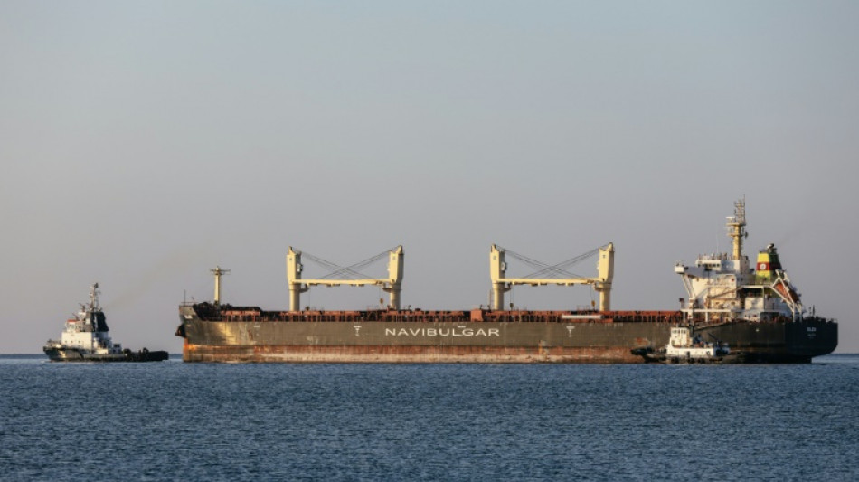 Trois nouveaux chargements de c&eacute;r&eacute;ales ont quitt&eacute; l'Ukraine 