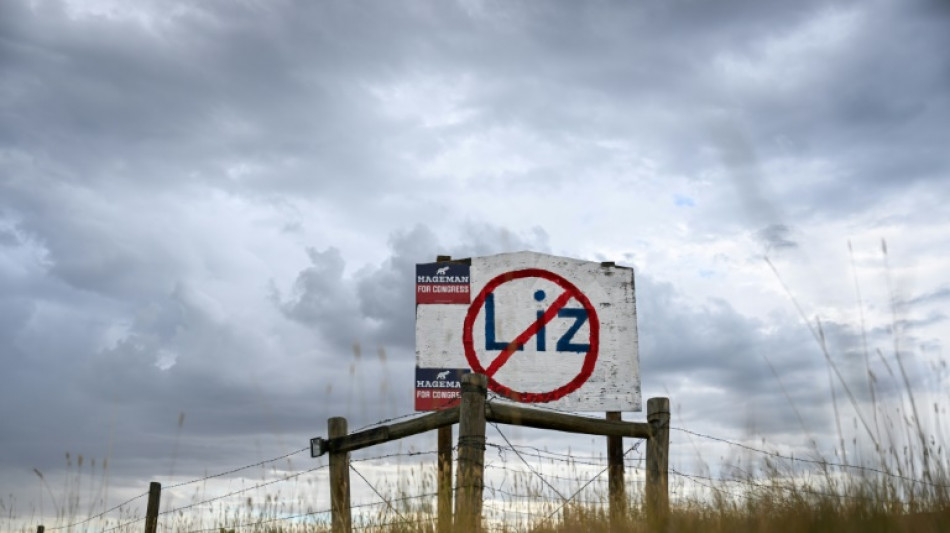 Liz Cheney, cr&iacute;tica ac&eacute;rrima de Trump, pierde su banca en el Congreso