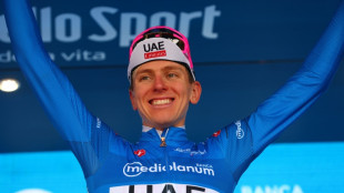Tour de France: l'&eacute;quipe UAE de Pogacar, "c'est le Real Madrid"