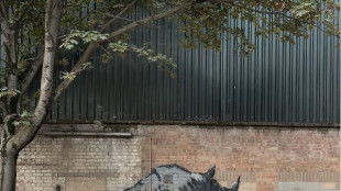 Banksy, nello zoo l'ottavo giorno &egrave; del rinoceronte