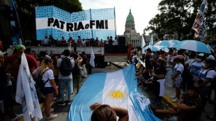 Argentine: l'accord avec le FMI sur la dette approuv&eacute; par le Parlement
