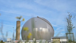 Bient&ocirc;t au Parlement, un projet de loi pour acc&eacute;l&eacute;rer sur le nucl&eacute;aire