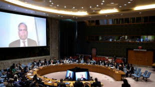 Israel's Gaza plan risks 'another calamity,' UN official warns