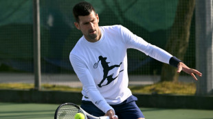 Djokovic nearly '100 percent' after fighting hamstring injury
