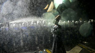 Un juez de Turqu&iacute;a ordena el encarcelamiento de un fot&oacute;grafo de AFP