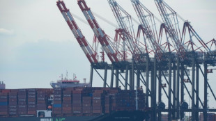 A l'approche de l'&eacute;lection am&eacute;ricaine, les entreprises se pr&eacute;parent &agrave; une hausse des droits de douane