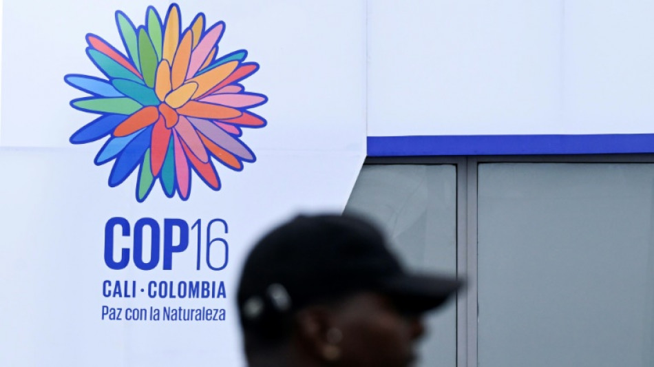 Ultime bras de fer &agrave; la COP16 biodiversit&eacute; autour des financements