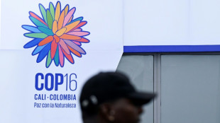 Ultime bras de fer &agrave; la COP16 biodiversit&eacute; autour des financements