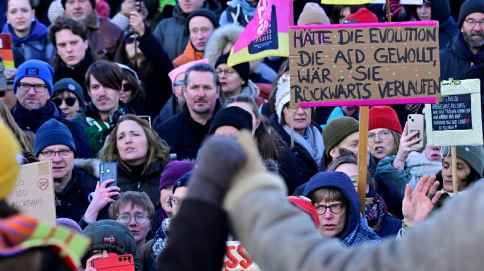 Decenas de miles de manifestantes contra la extrema derecha en Berl&iacute;n