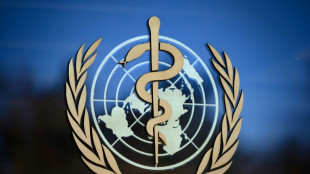 Variole du singe : r&eacute;union du comit&eacute; d'urgence de l'OMS le 21 juillet