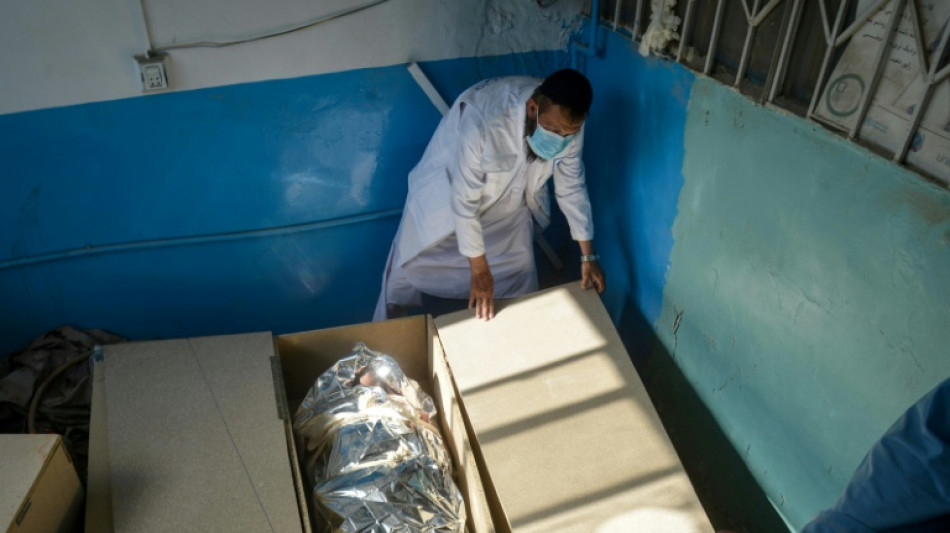 Accalmie &agrave; la fronti&egrave;re entre Afghanistan et Pakistan apr&egrave;s un cessez-le-feu