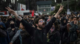 Detienen a un periodista sueco en Turqu&iacute;a que iba a cubrir las manifestaciones