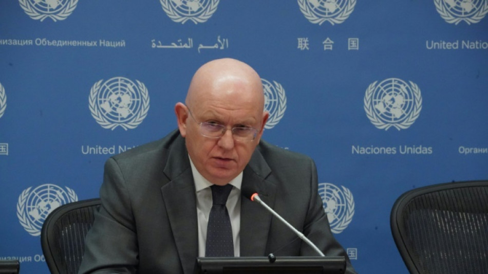 Rusia se defiende de las cr&iacute;ticas por la presidencia del Consejo de Seguridad