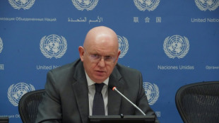 Rusia se defiende de las cr&iacute;ticas por la presidencia del Consejo de Seguridad