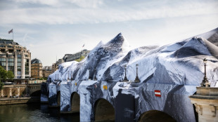 "C'est spectaculaire!": Paris d&eacute;couvre le Pont Neuf emball&eacute; par JR