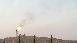 Le p&eacute;trole flambe apr&egrave;s des coupes choc de production