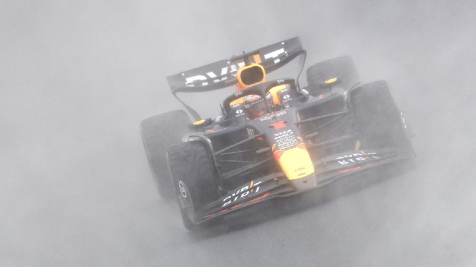 F1: au Br&eacute;sil, Verstappen renoue avec la victoire devant les Alpine apr&egrave;s une course folle