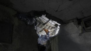 Israel impone en la Franja de Gaza una "zona de seguridad" vedada a palestinos