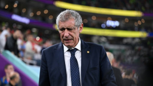 Portugal: Fernando Santos quitte le poste de s&eacute;lectionneur 
