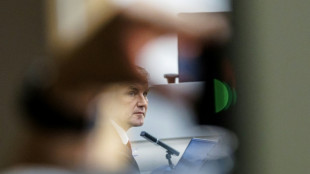 Un pol&iacute;tico de extrema derecha alem&aacute;n vuelve a ser condenado por pronunciar un lema nazi