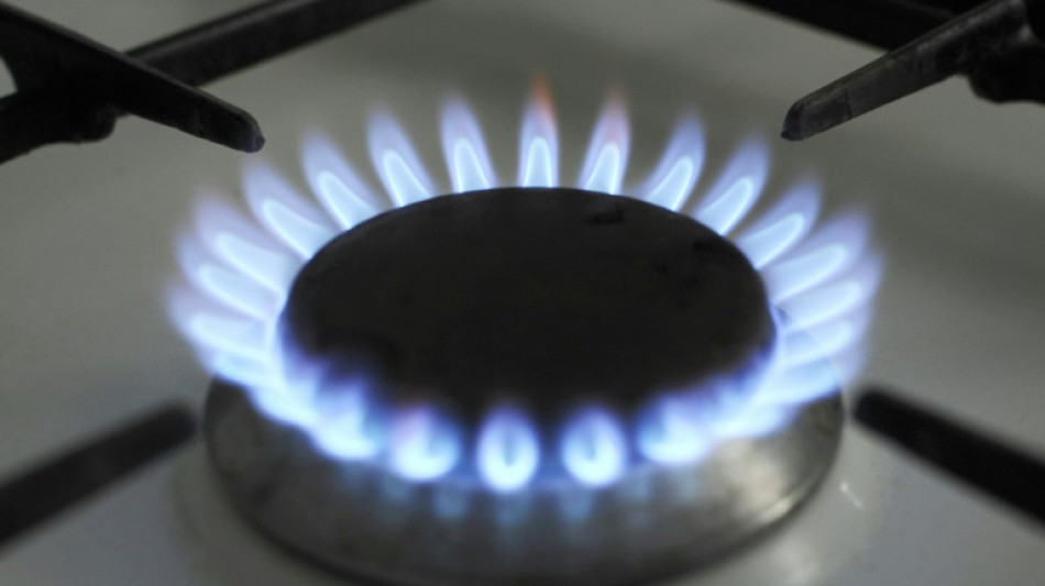 Gaz am&eacute;ricain et europ&eacute;en au plus haut depuis un an, pour des raisons diff&eacute;rentes 