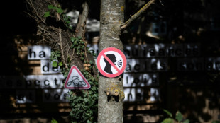 Du "bon son" plut&ocirc;t que du "gros son", un enjeu cl&eacute; contre les troubles auditifs