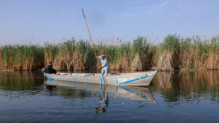 En Irak, la prospection pétrolière menace les mythiques marais mésopotamiens