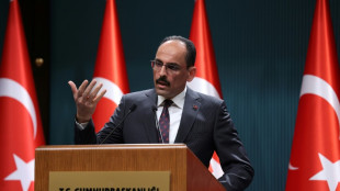 Ukraine : la Turquie plaide pour des "cessez-le-feu localis&eacute;s"