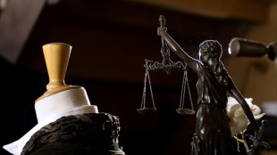 Le principal suspect de l'affaire Maddie libre l'an prochain ? D&eacute;cision mardi