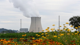 BUND warnt Gr&uuml;ne vor Abkehr vom Nein zu Akw-Weiterbetrieb