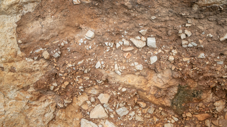 In una grotta ligure il pi&ugrave; antico caso di convivenza uomo-cane
