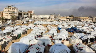 Oxfam: apenas 12 caminh&otilde;es entregaram alimentos e &aacute;gua no norte de Gaza desde outubro