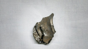 Ukraine: les &eacute;clats de munitions, immondes bouts de guerre 