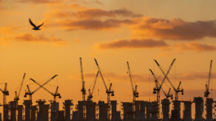 D&eacute;manteler les &eacute;oliennes? Plut&ocirc;t "acc&eacute;l&eacute;rer" la transition, estime le pr&eacute;sident d'Engie