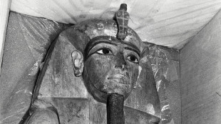 Le sarcophage de Rams&egrave;s II de retour en France pour une exposition-&eacute;v&eacute;nement