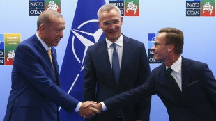 Sweden deal crowns Erdogan's post-election shift West