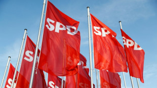 Michel und Homann als SPD-Landesvorsitzende in Sachsen best&auml;tigt