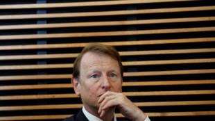 La empresa energ&eacute;tica alemana VNG pide ayuda al Estado