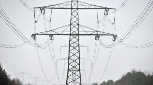 Energieminister der L&auml;nder dr&auml;ngen auf Senkung der Stromsteuer