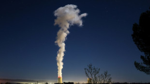 Nucl&eacute;aire: le projet de loi d'acc&eacute;l&eacute;ration entame vent dans le dos son parcours au S&eacute;nat