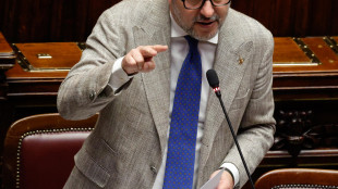 Salvini, famiglia nel bosco un caso di violenza istituzionale raccapricciante