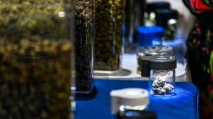 Florida votar&aacute; en noviembre sobre la legalizaci&oacute;n del uso recreativo de la marihuana