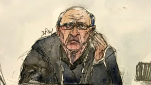 Le Scouarnec se dit "responsable" de la mort de deux victimes, les parties civiles plaident