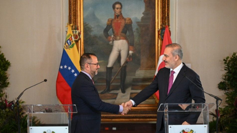 Erdogan visitar&aacute; a Venezuela este ano, anuncia chanceler turco