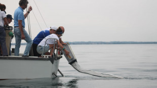 Mari e laghi italiani, il 36% &egrave; fuori norma per l'inquinamento