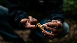 Weltnaturschutzunion: Hunderte f&uuml;r &Ouml;kosystem wichtige Pilzarten vom Aussterben bedroht