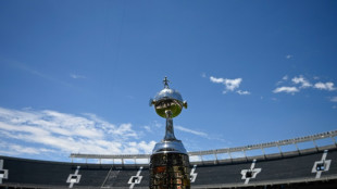 La suerte est&aacute; echada: Botafogo y Mineiro pugnan por la Libertadores