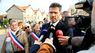 Petain tribute comments raise 'revisionist' storm in France